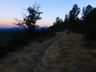 wPCT-2016 day24-2  tawny trail - Shasta.jpg (235848 bytes)